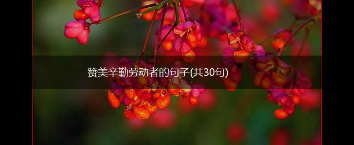 赞美辛勤劳动者的句子(共30句),第1张