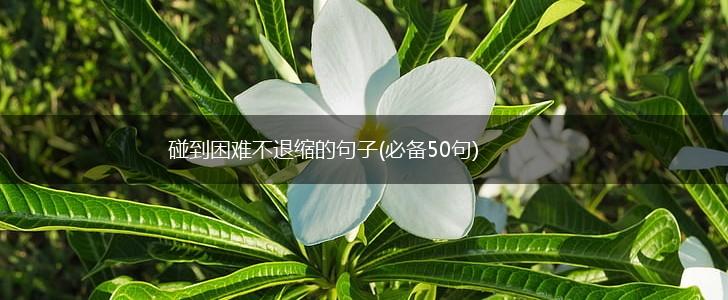 碰到困难不退缩的句子(必备50句),第1张