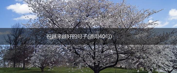 祝越来越好的句子(通用40句),第1张