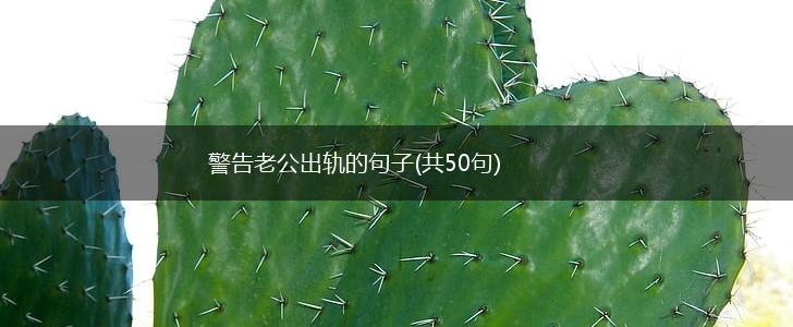 警告老公出轨的句子(共50句),第1张