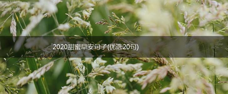 2020甜蜜早安句子(优选20句),第1张