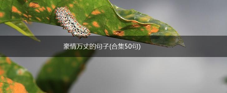 豪情万丈的句子(合集50句),第1张