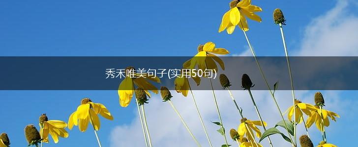 秀禾唯美句子(实用50句),第1张