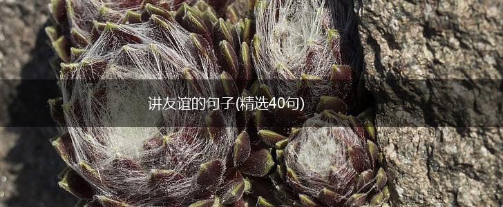 讲友谊的句子(精选40句),第1张