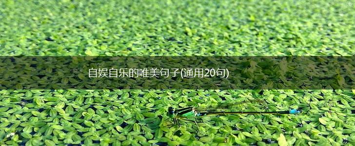 自娱自乐的唯美句子(通用20句),第1张
