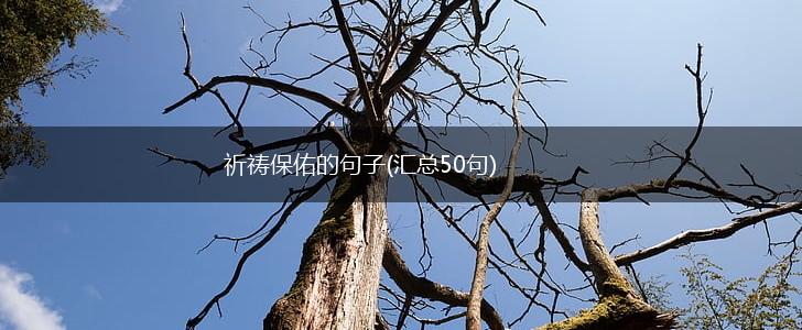 祈祷保佑的句子(汇总50句),第1张