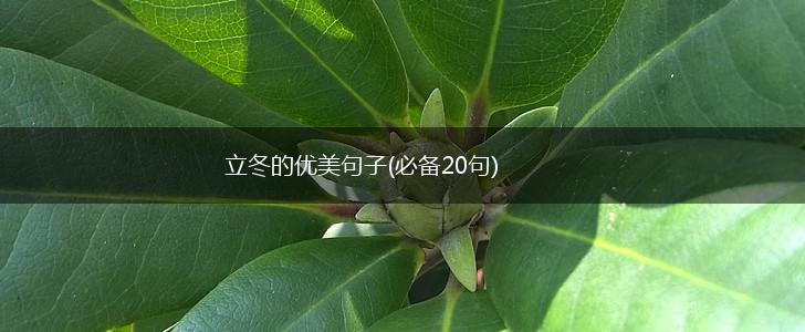 立冬的优美句子(必备20句),第1张