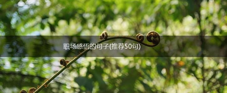 职场感悟的句子(推荐50句),第1张