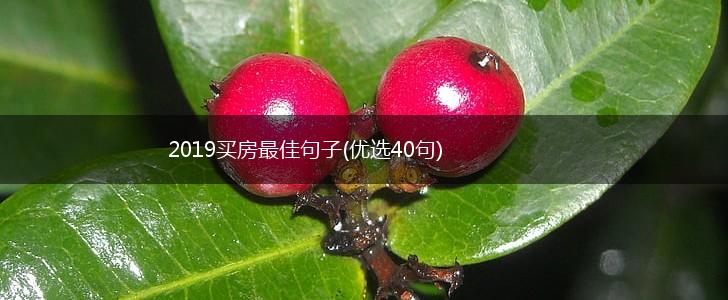 2019买房最佳句子(优选40句),第1张