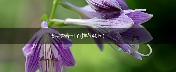 5字踏春句子(推荐40句),第1张