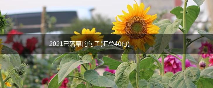 2021已落幕的句子(汇总40句),第1张