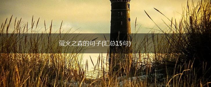 萤火之森的句子(汇总15句),第1张