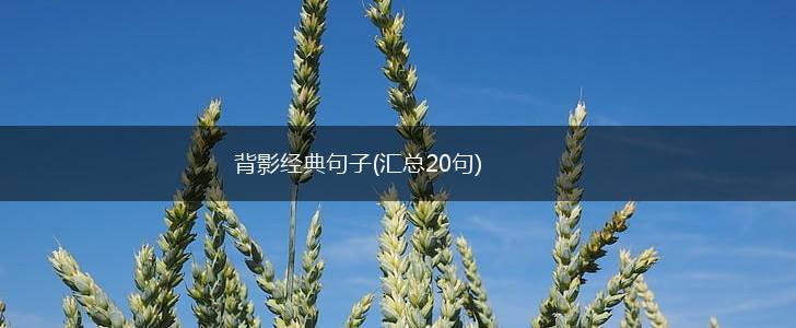 背影经典句子(汇总20句),第1张