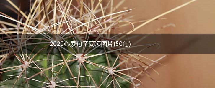 2020心累句子简短图片(50句),第1张