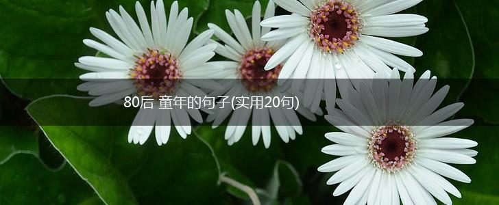80后 童年的句子(实用20句),第1张