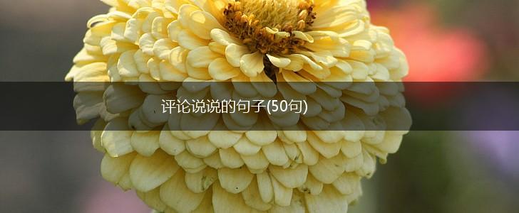 评论说说的句子(50句),第1张