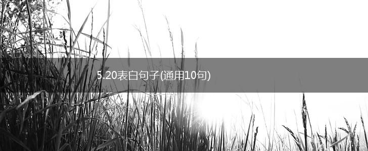 5.20表白句子(通用10句),第1张