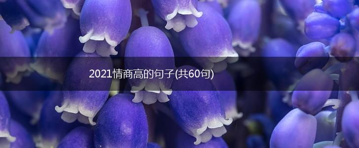 2021情商高的句子(共60句),第1张