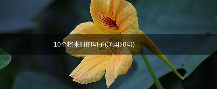 10个将来时的句子(通用50句),第1张