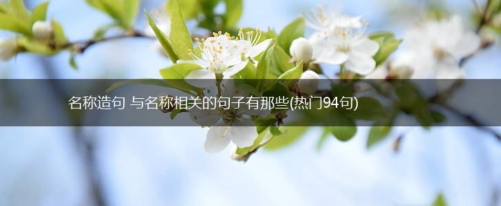 名称造句 与名称相关的句子有那些(热门94句),第1张