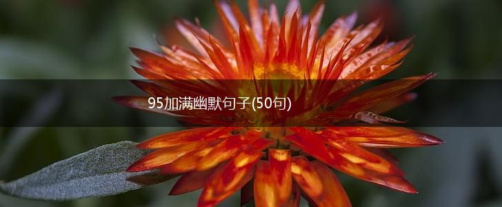 95加满幽默句子(50句),第1张