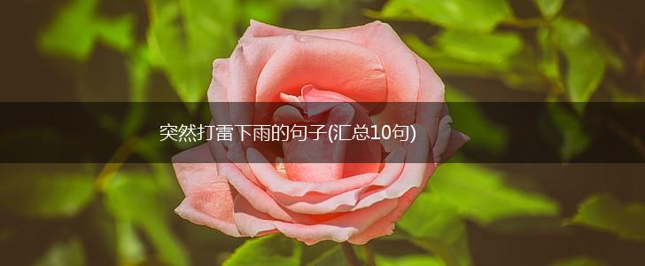 突然打雷下雨的句子(汇总10句),第1张