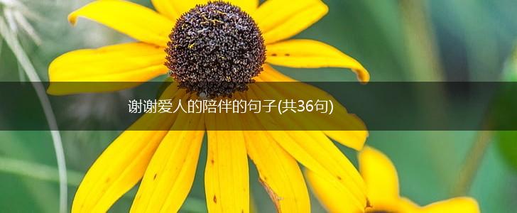 谢谢爱人的陪伴的句子(共36句),第1张