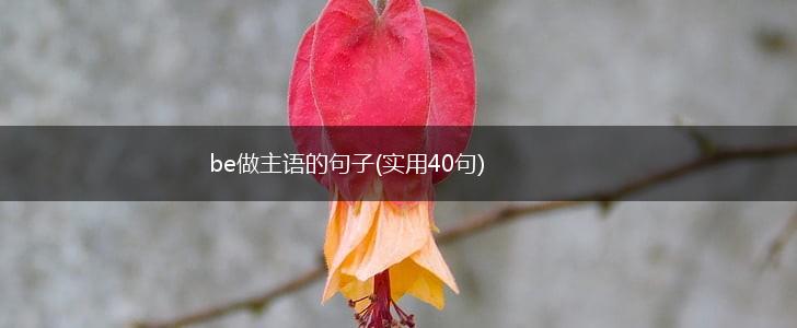 be做主语的句子(实用40句),第1张