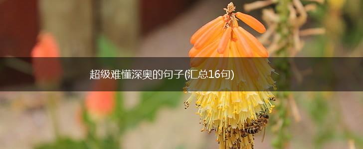 超级难懂深奥的句子(汇总16句),第1张