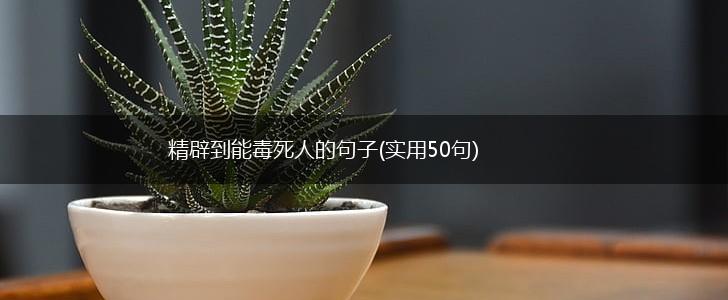 精辟到能毒死人的句子(实用50句),第1张