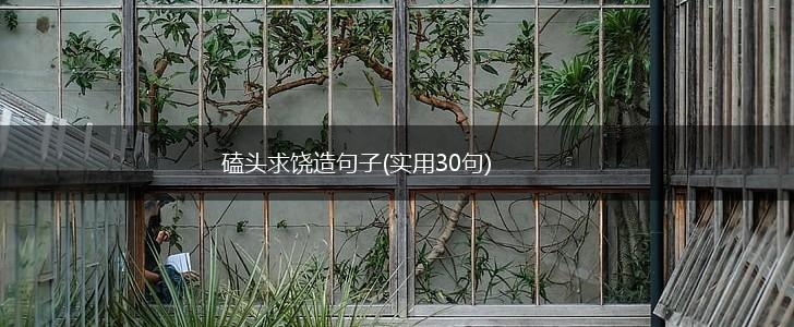 磕头求饶造句子(实用30句),第1张