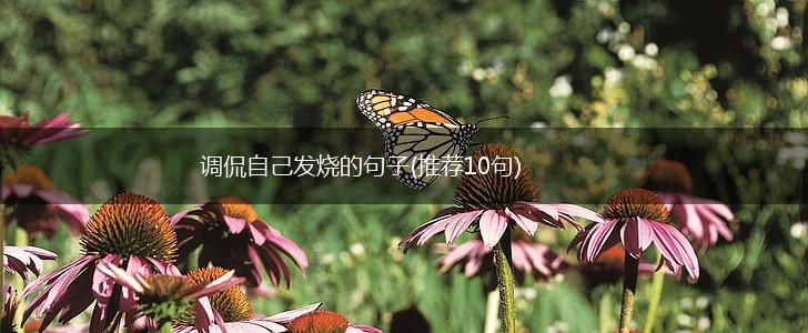 调侃自己发烧的句子(推荐10句),第1张
