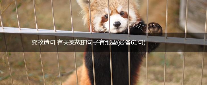变故造句 有关变故的句子有那些(必备61句),第1张