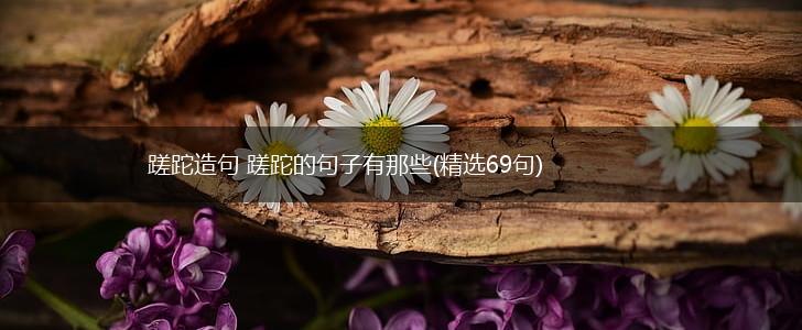 蹉跎造句 蹉跎的句子有那些(精选69句),第1张