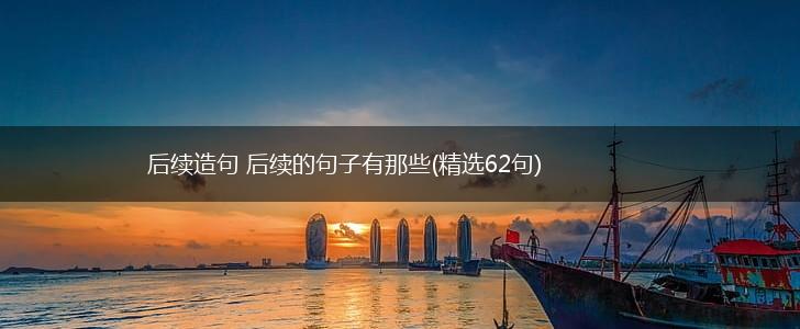后续造句 后续的句子有那些(精选62句),第1张
