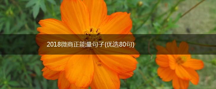 2018微商正能量句子(优选80句),第1张