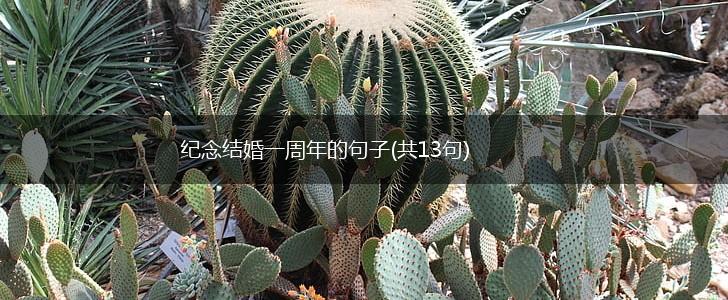 纪念结婚一周年的句子(共13句),第1张
