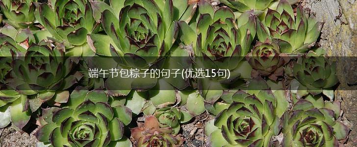 端午节包粽子的句子(优选15句),第1张