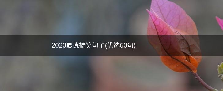 2020最拽搞笑句子(优选60句),第1张