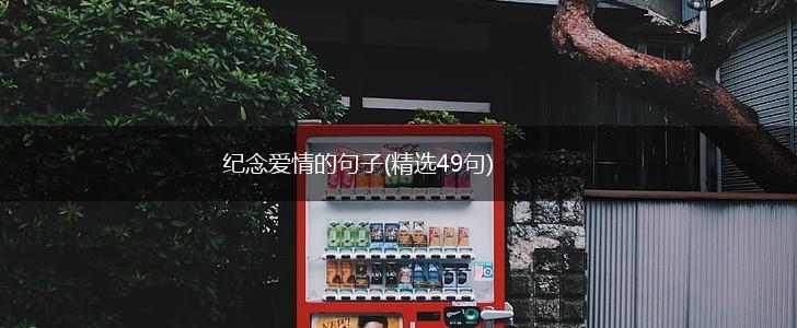纪念爱情的句子(精选49句),第1张