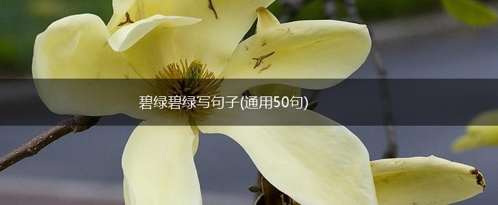 碧绿碧绿写句子(通用50句),第1张