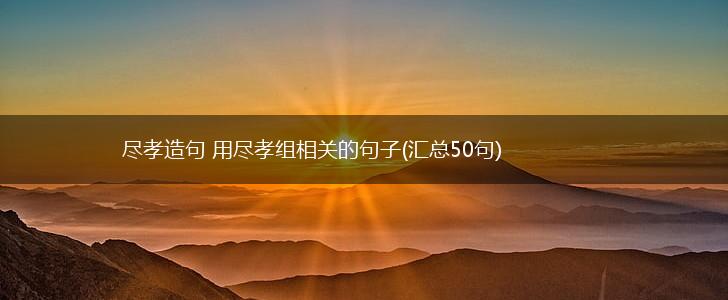 尽孝造句 用尽孝组相关的句子(汇总50句),第1张