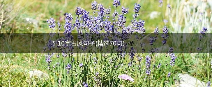 5 10字古风句子(精选70句),第1张