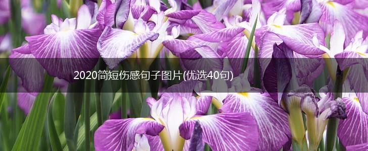 2020简短伤感句子图片(优选40句),第1张
