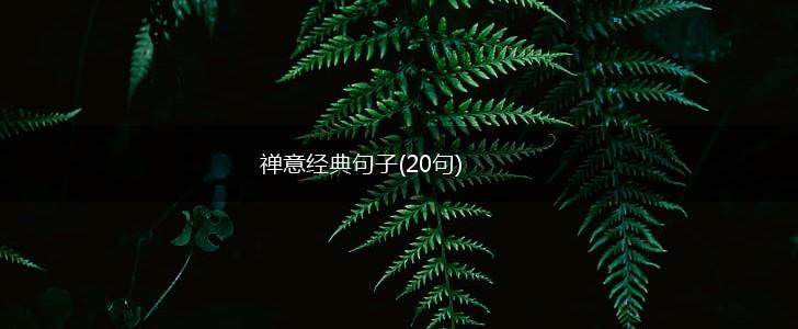 禅意经典句子(20句),第1张