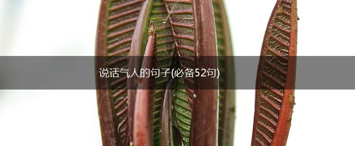 说话气人的句子(必备52句),第1张