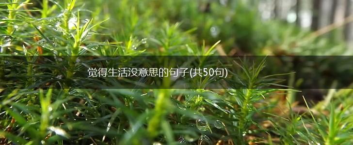觉得生活没意思的句子(共50句),第1张