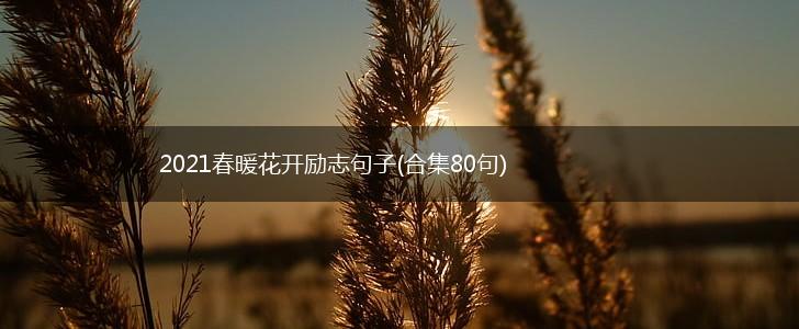 2021春暖花开励志句子(合集80句),第1张