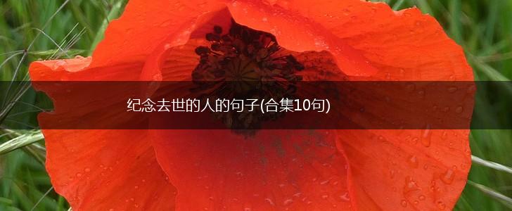 纪念去世的人的句子(合集10句),第1张