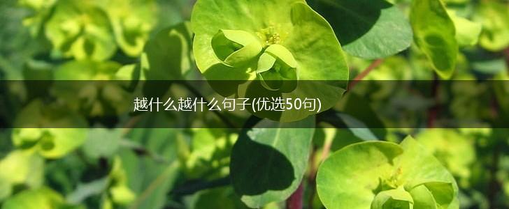 越什么越什么句子(优选50句),第1张